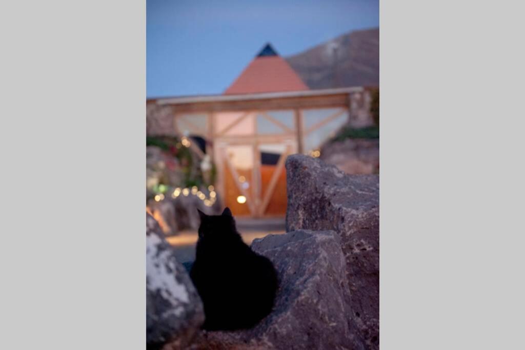 Tranquila Tierra - Eco Retreat Finca Artis Tirma Tarajalejo Eksteriør billede