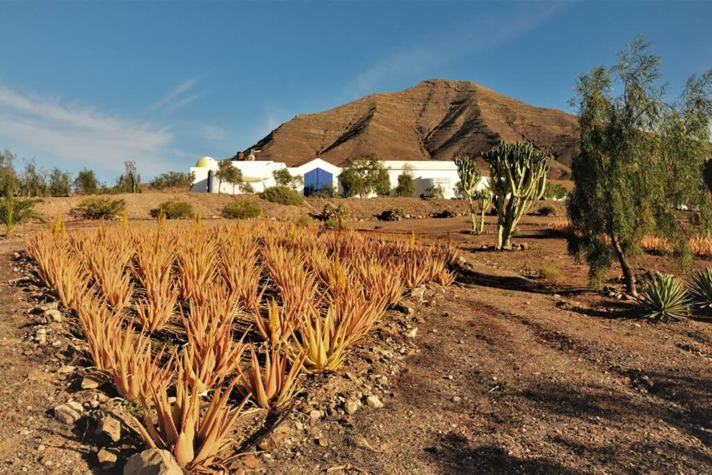 Tranquila Tierra - Eco Retreat Finca Artis Tirma Tarajalejo Eksteriør billede